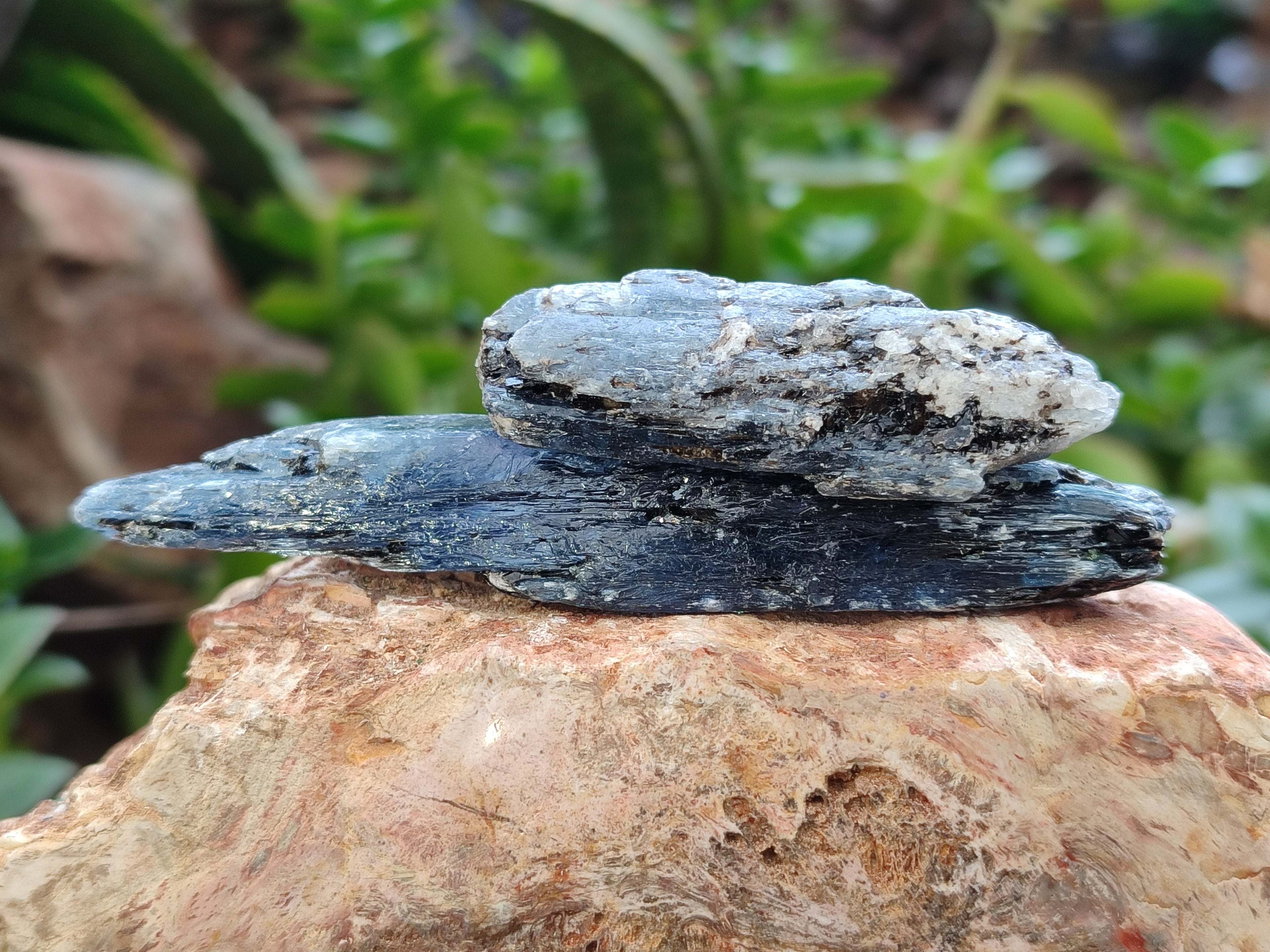 Natural Kyanite Crystals x 2.03 Kg Lot From Karoi, Zimbabwe - Toprock Gemstones and Minerals 