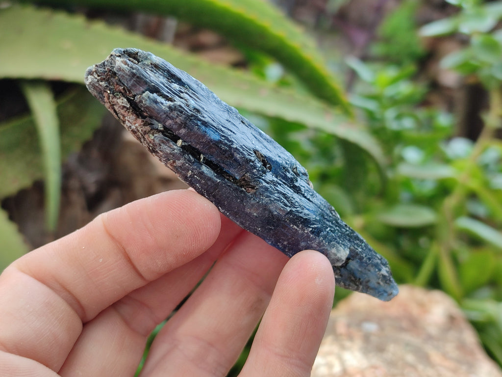 Natural Kyanite Crystals x 2.03 Kg Lot From Karoi, Zimbabwe - Toprock Gemstones and Minerals 