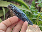 Natural Kyanite Crystals x 2.03 Kg Lot From Karoi, Zimbabwe - Toprock Gemstones and Minerals 
