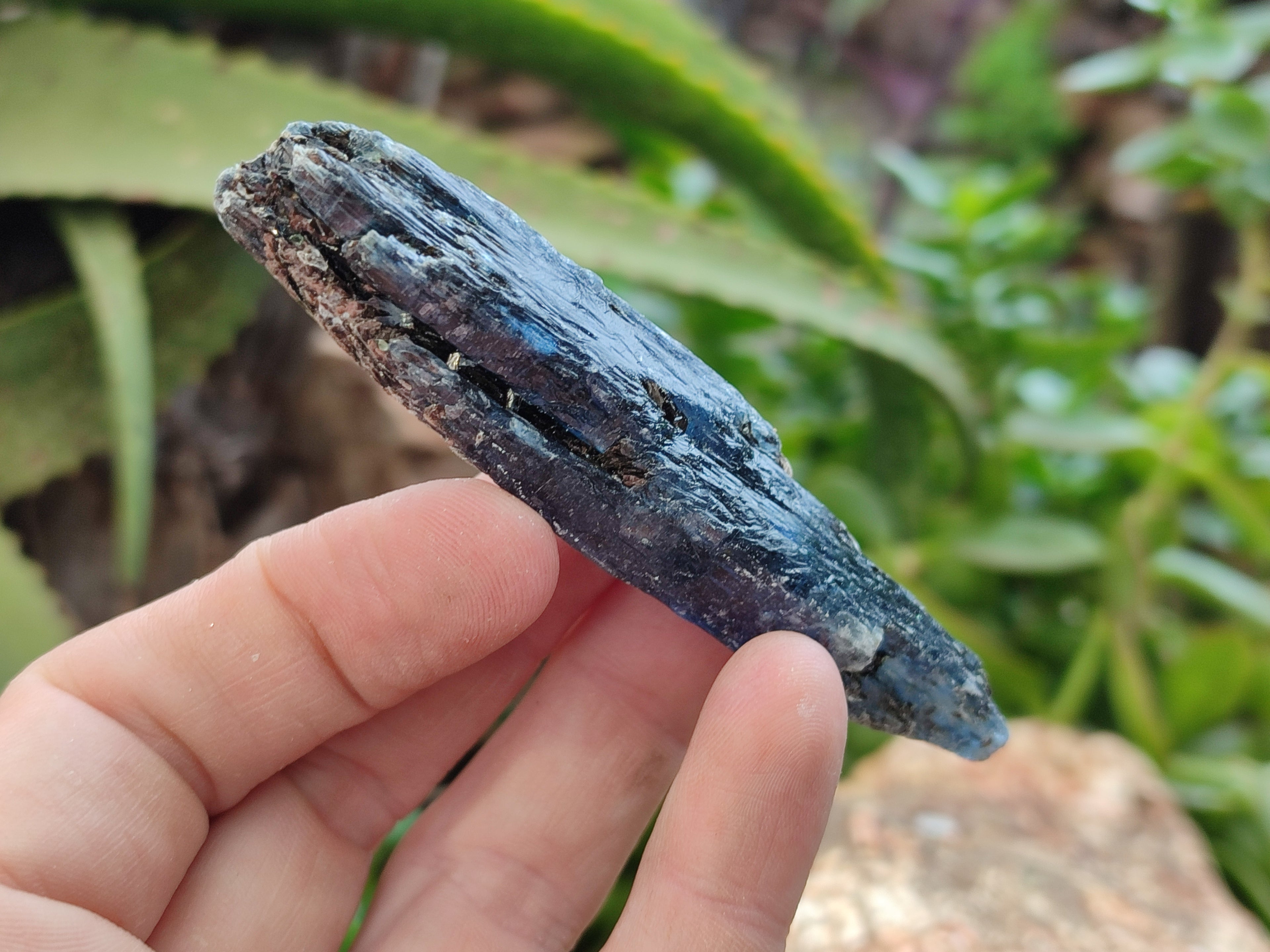 Natural Kyanite Crystals x 2.03 Kg Lot From Karoi, Zimbabwe - Toprock Gemstones and Minerals 