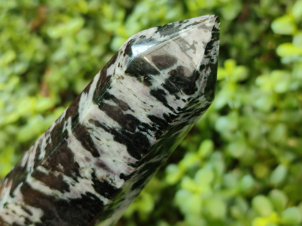 Polished Gabbro Merlinite Points x 2 From Ambatofinandrahana, Madagascar