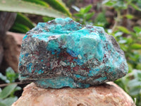 Natural Shattuckite with Chrysocolla x 6 From Kaokoveld, Namibia - Toprock Gemstones and Minerals 