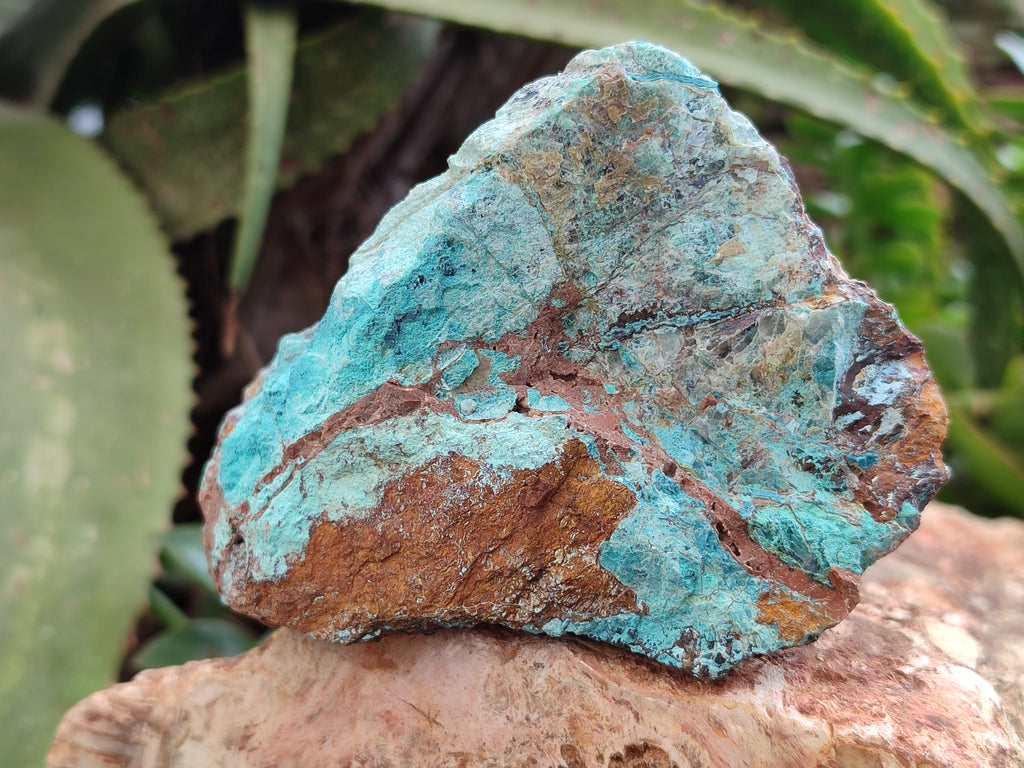 Natural Shattuckite with Chrysocolla x 6 From Kaokoveld, Namibia - Toprock Gemstones and Minerals 