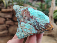 Natural Shattuckite with Chrysocolla x 6 From Kaokoveld, Namibia - Toprock Gemstones and Minerals 