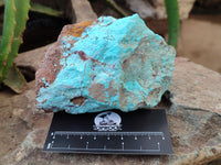 Natural Shattuckite with Chrysocolla x 6 From Kaokoveld, Namibia - Toprock Gemstones and Minerals 
