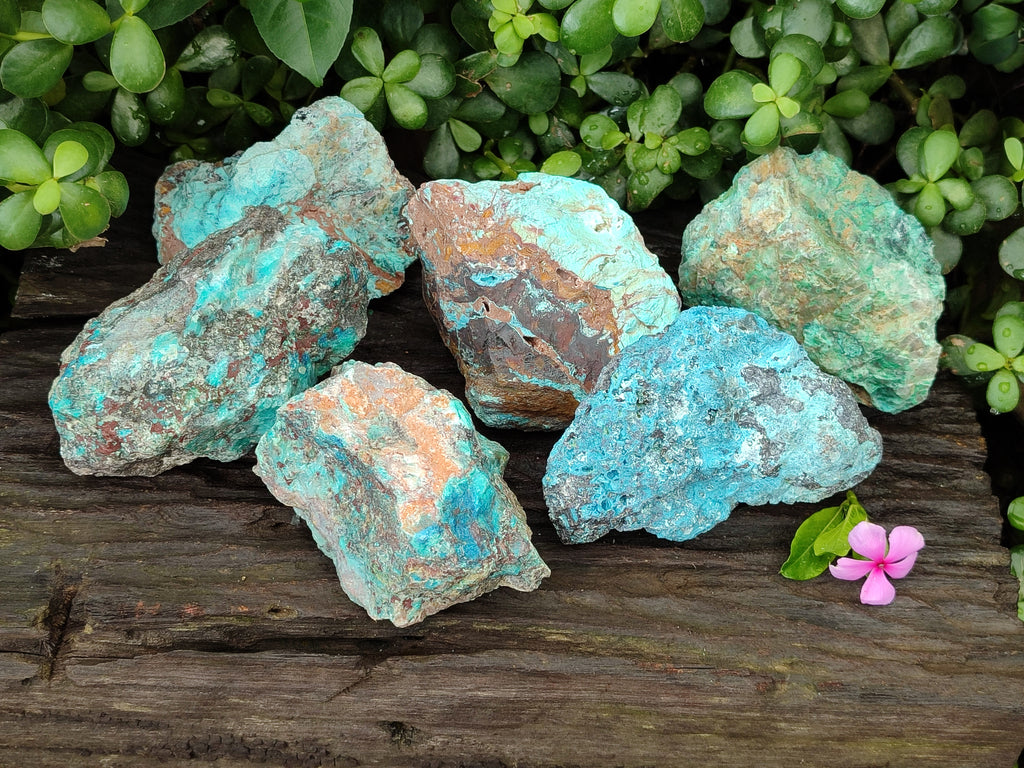 Natural Shattuckite with Chrysocolla x 6 From Kaokoveld, Namibia - Toprock Gemstones and Minerals 