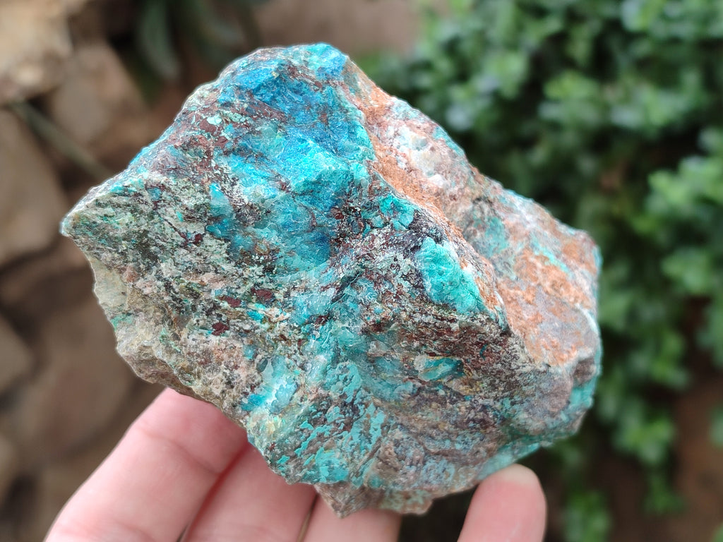 Natural Shattuckite with Chrysocolla x 6 From Kaokoveld, Namibia - Toprock Gemstones and Minerals 