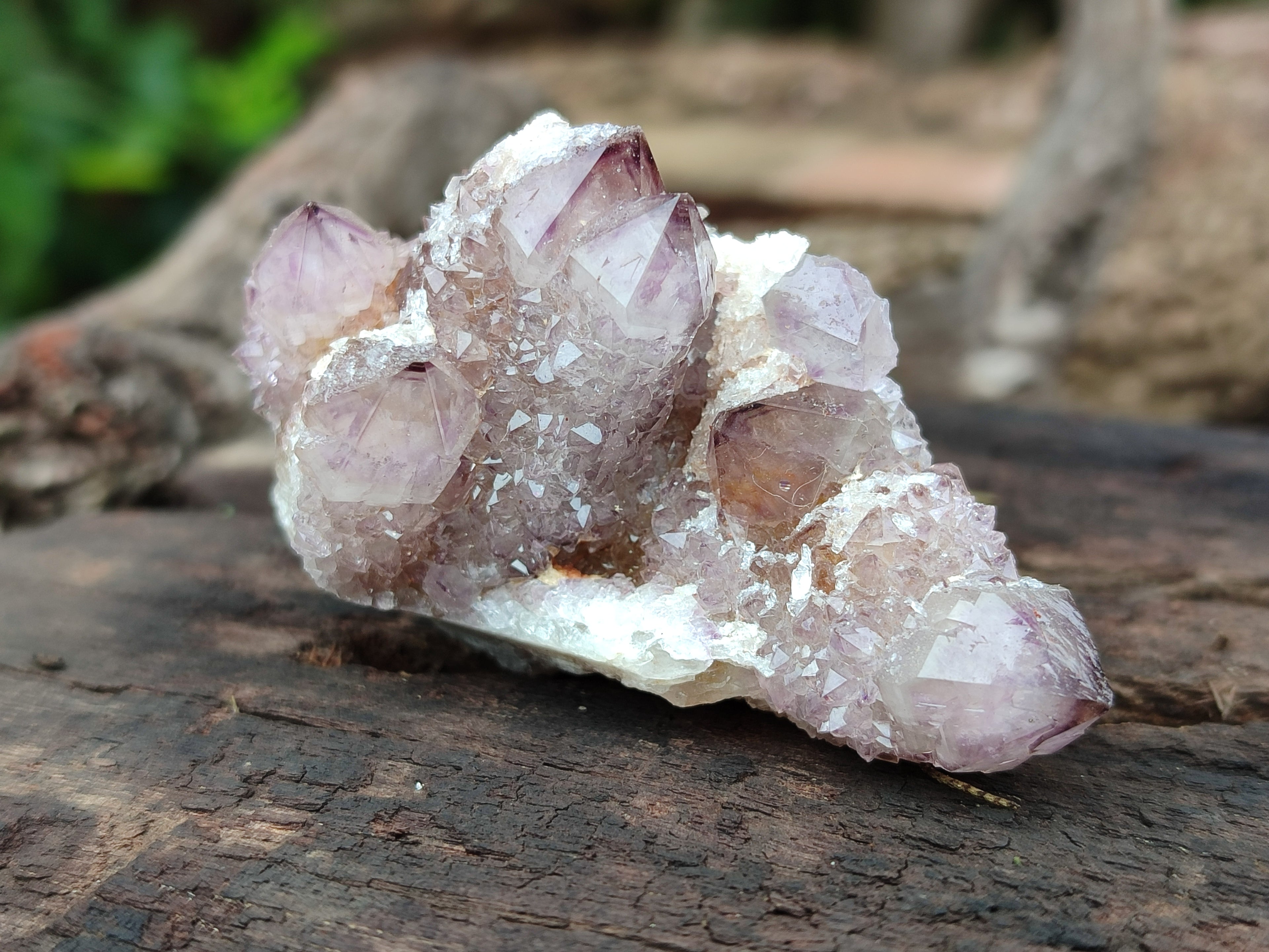 Natural Dark Amethyst Spirit Quartz Clusters x 12 From Boekenhouthoek, South Africa - Toprock Gemstones and Minerals 
