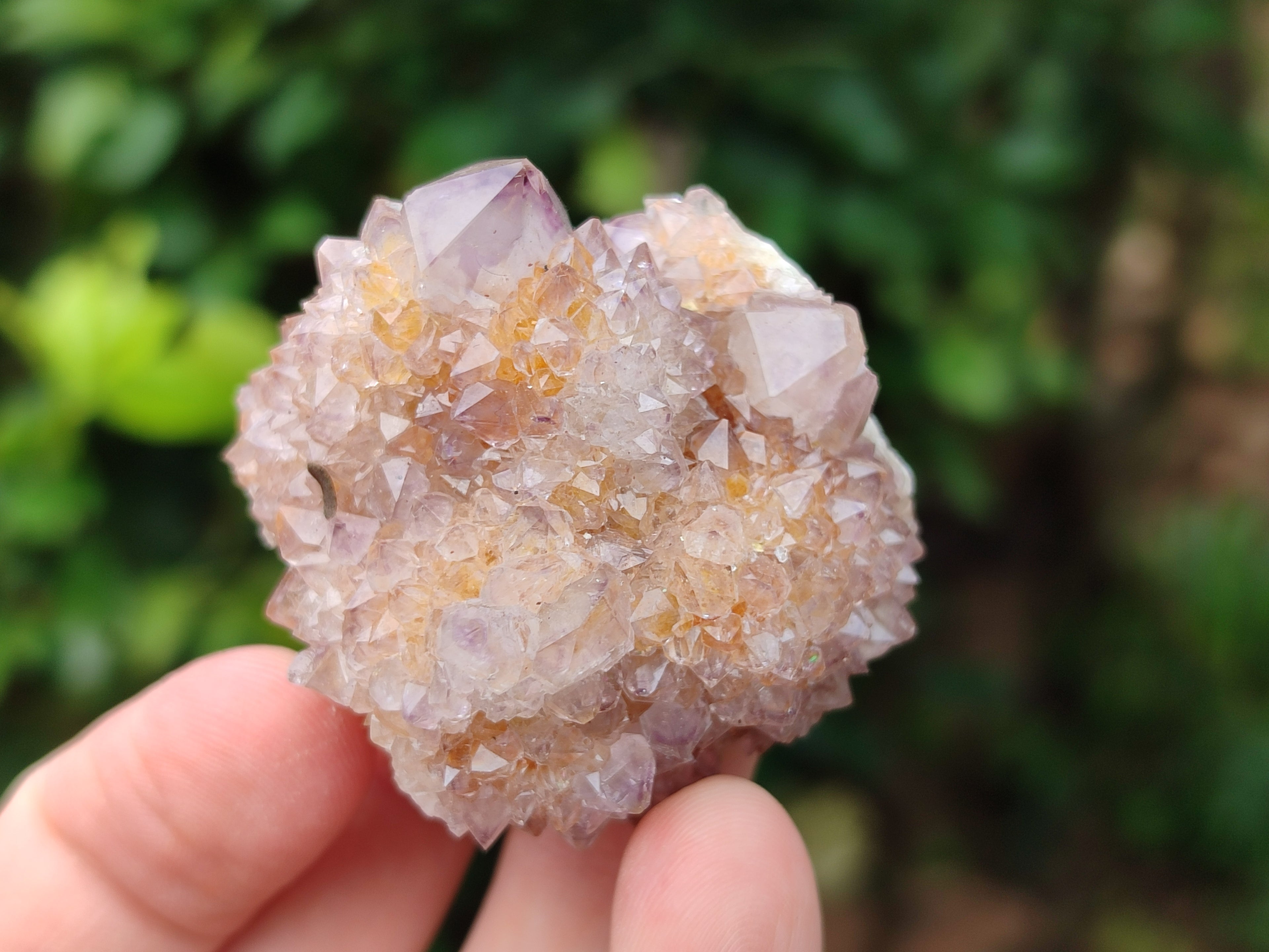 Natural Dark Amethyst Spirit Quartz Clusters x 12 From Boekenhouthoek, South Africa - Toprock Gemstones and Minerals 