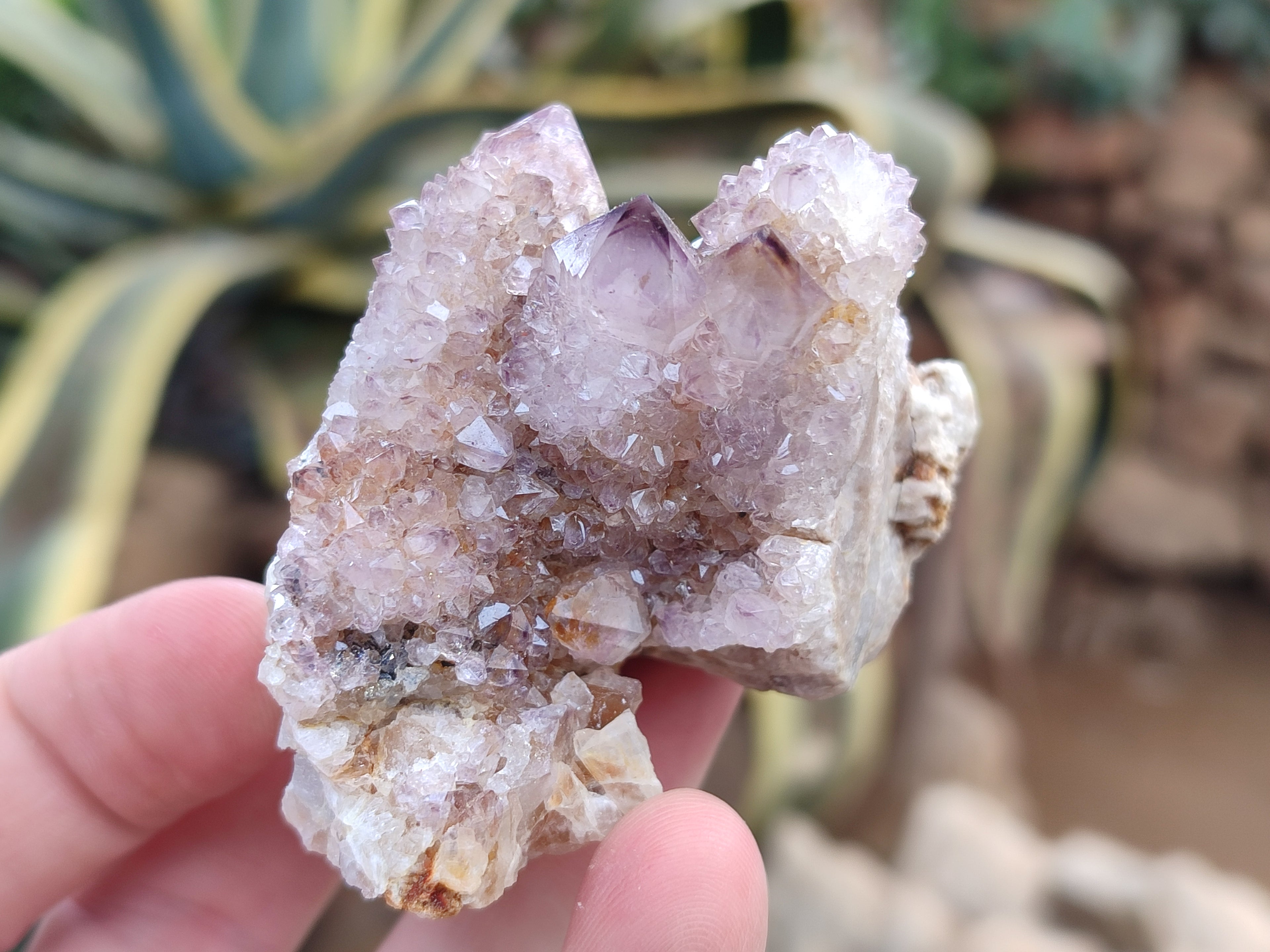 Natural Dark Amethyst Spirit Quartz Clusters x 12 From Boekenhouthoek, South Africa - Toprock Gemstones and Minerals 
