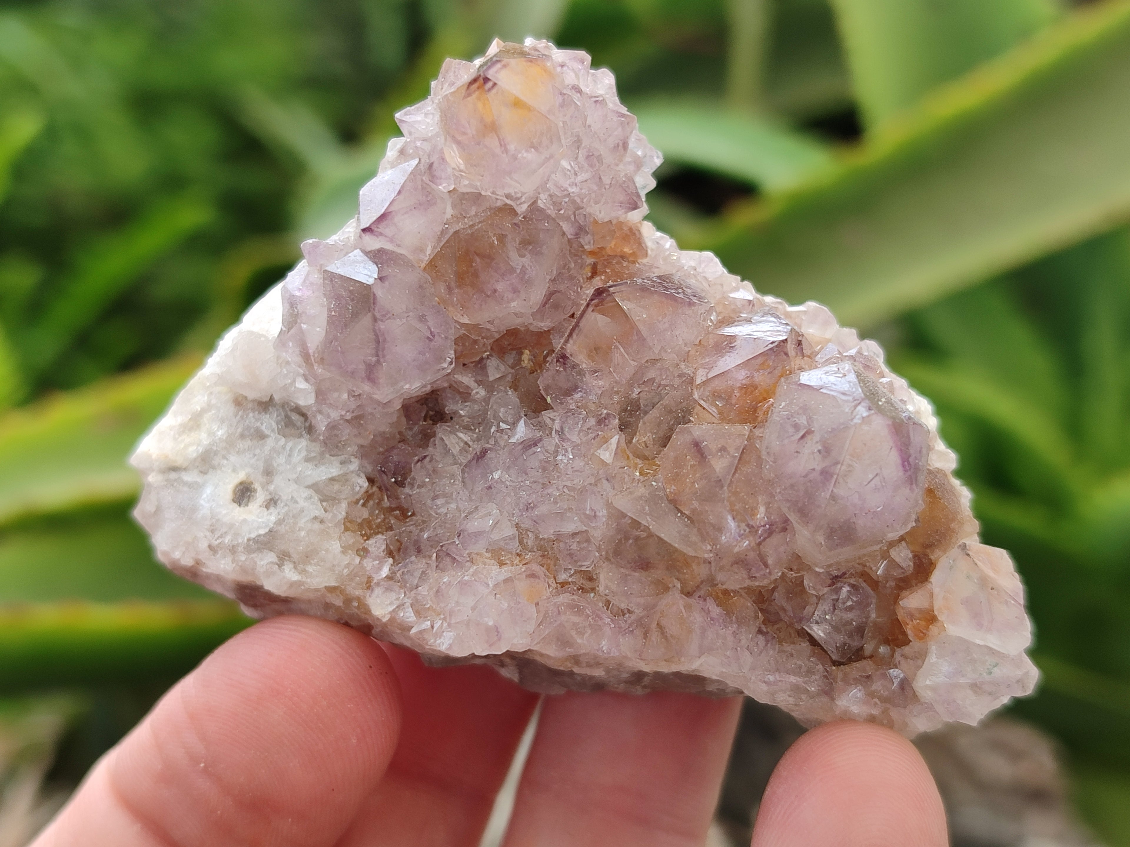 Natural Dark Amethyst Spirit Quartz Clusters x 12 From Boekenhouthoek, South Africa - Toprock Gemstones and Minerals 