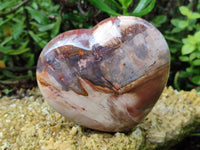 Polished Podocarpus Petrified Wood Hearts x 3 From Mahajanga, Madagascar
