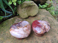 Polished Podocarpus Petrified Wood Hearts x 3 From Mahajanga, Madagascar