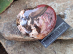 Polished Podocarpus Petrified Wood Hearts x 3 From Mahajanga, Madagascar - Toprock Gemstones and Minerals 