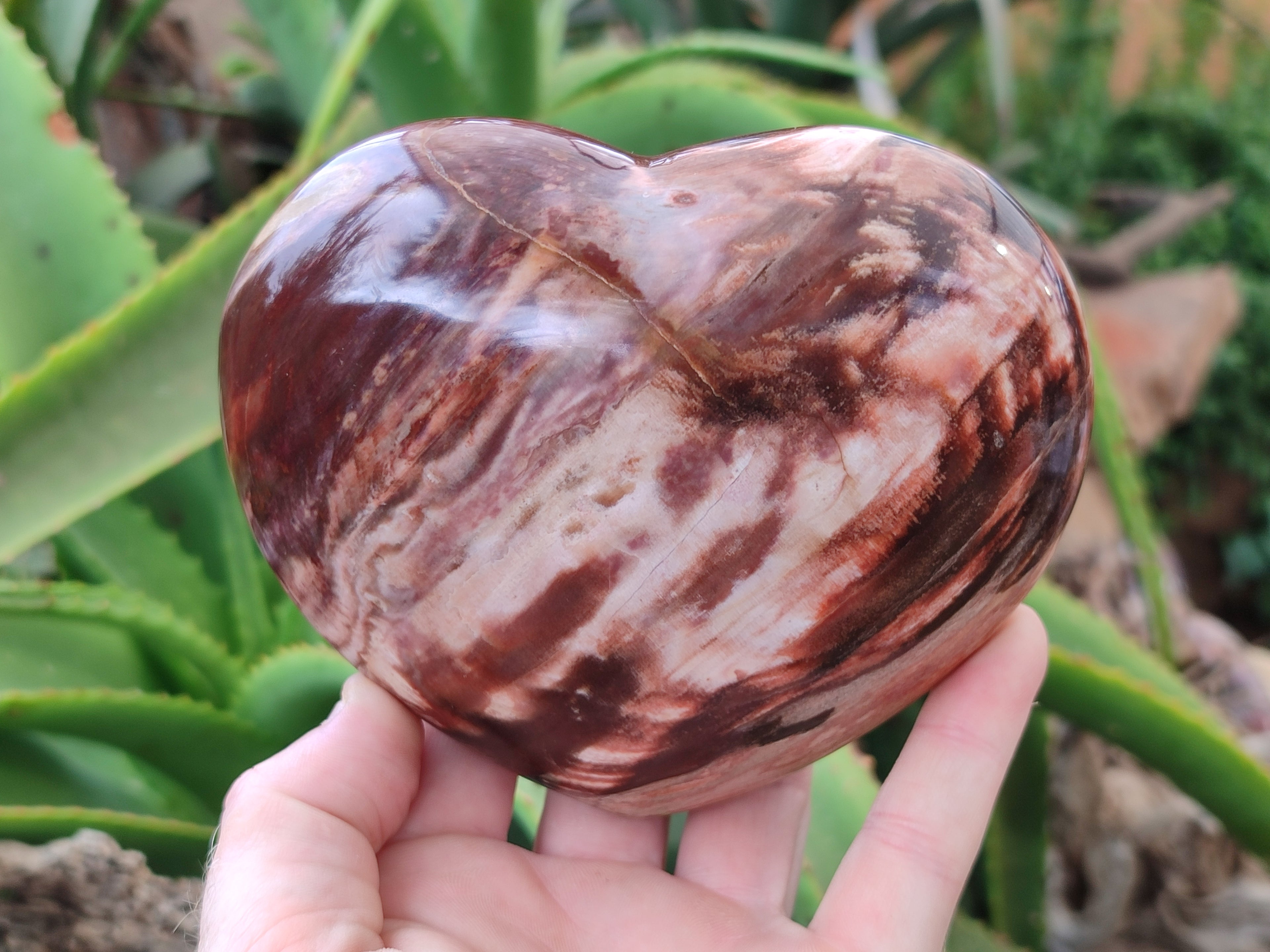 Polished Podocarpus Petrified Wood Hearts x 3 From Mahajanga, Madagascar - Toprock Gemstones and Minerals 