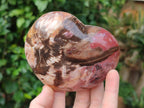 Polished Podocarpus Petrified Wood Hearts x 3 From Mahajanga, Madagascar - Toprock Gemstones and Minerals 