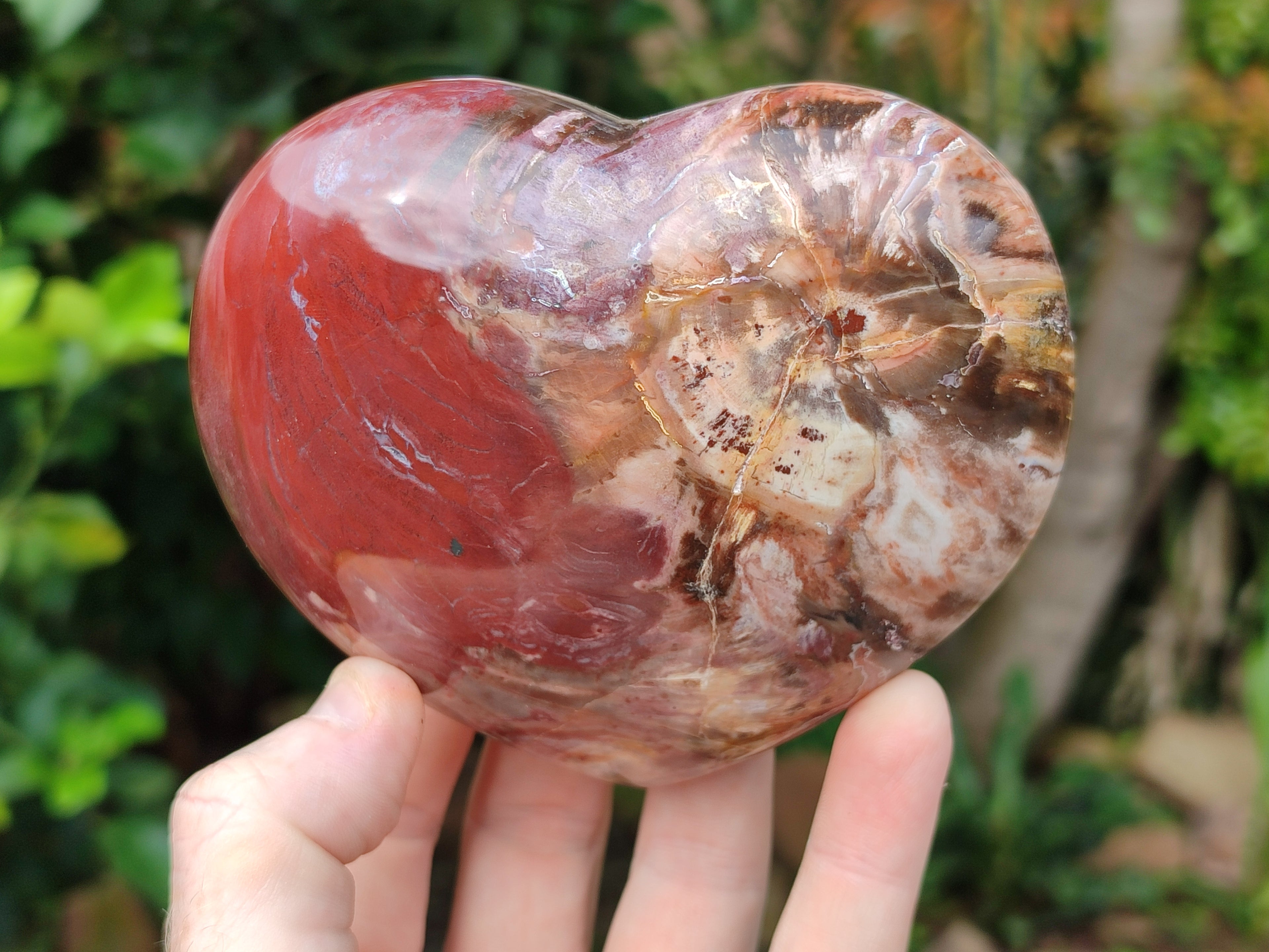 Polished Podocarpus Petrified Wood Hearts x 3 From Mahajanga, Madagascar - Toprock Gemstones and Minerals 