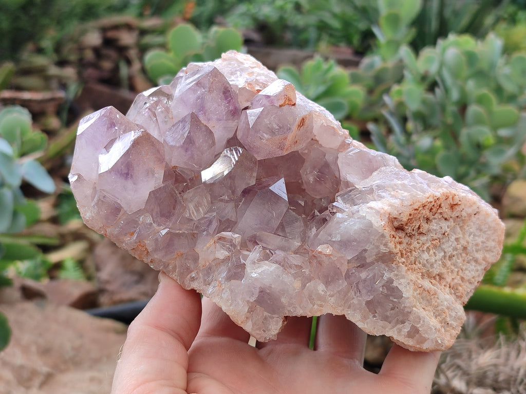 Natural Jacaranda Amethyst Quartz Cluster x 2 From Mumbwa, Zambia - Toprock Gemstones and Minerals 