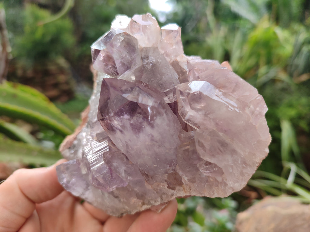 Natural Jacaranda Amethyst Quartz Cluster x 2 From Mumbwa, Zambia - Toprock Gemstones and Minerals 