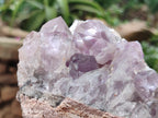 Natural Jacaranda Amethyst Quartz Cluster x 2 From Mumbwa, Zambia - Toprock Gemstones and Minerals 
