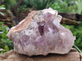 Natural Jacaranda Amethyst Quartz Cluster x 2 From Mumbwa, Zambia - Toprock Gemstones and Minerals 