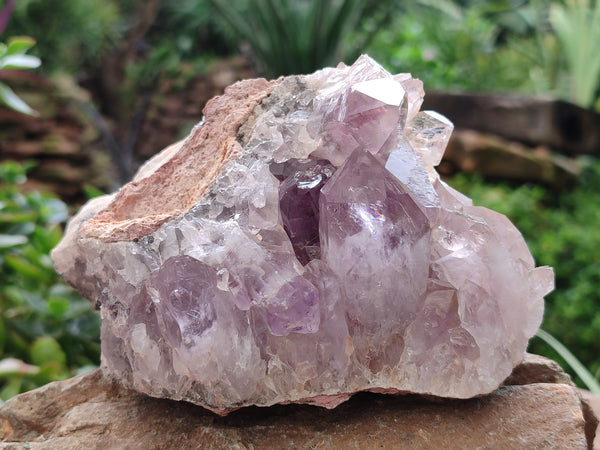 Natural Jacaranda Amethyst Quartz Cluster x 2 From Mumbwa, Zambia - Toprock Gemstones and Minerals 