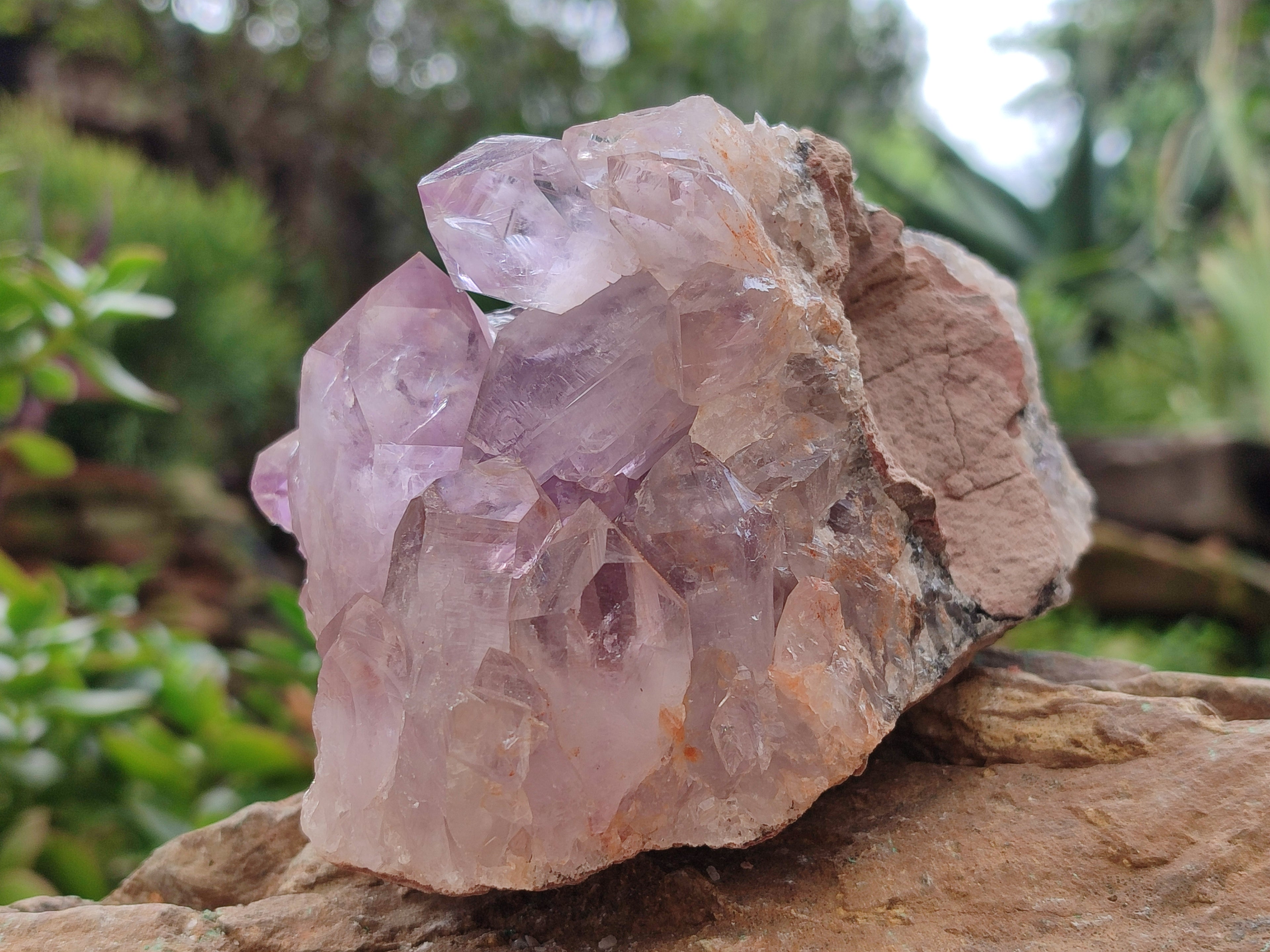 Natural Jacaranda Amethyst Quartz Cluster x 2 From Mumbwa, Zambia - Toprock Gemstones and Minerals 