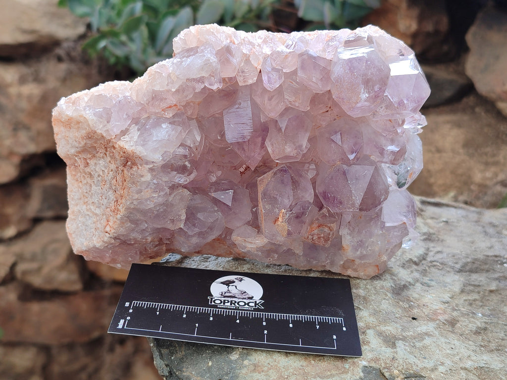 Natural Jacaranda Amethyst Quartz Cluster x 2 From Mumbwa, Zambia - Toprock Gemstones and Minerals 