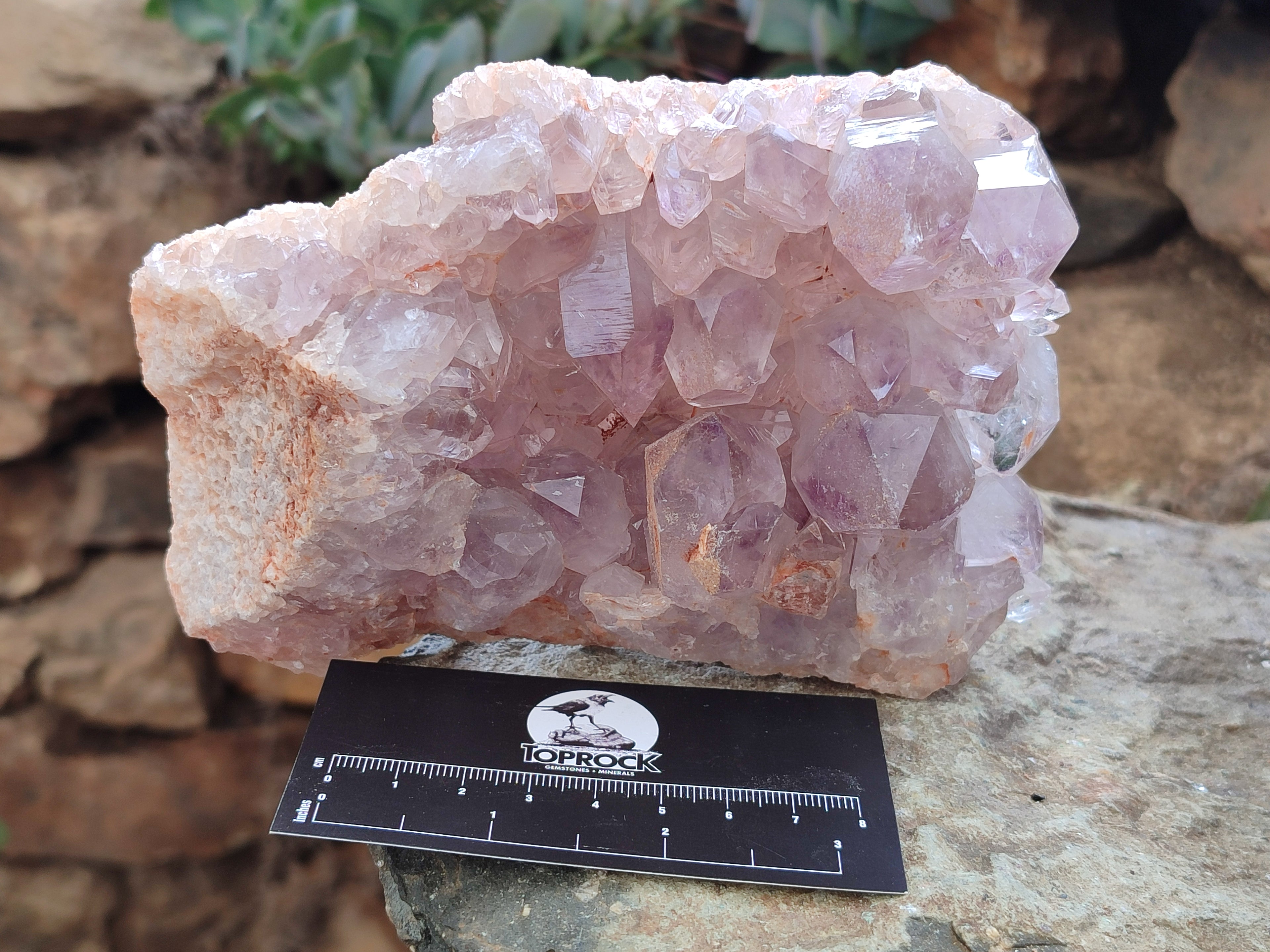 Natural Jacaranda Amethyst Quartz Cluster x 2 From Mumbwa, Zambia - Toprock Gemstones and Minerals 