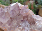 Natural Jacaranda Amethyst Quartz Cluster x 2 From Mumbwa, Zambia - Toprock Gemstones and Minerals 