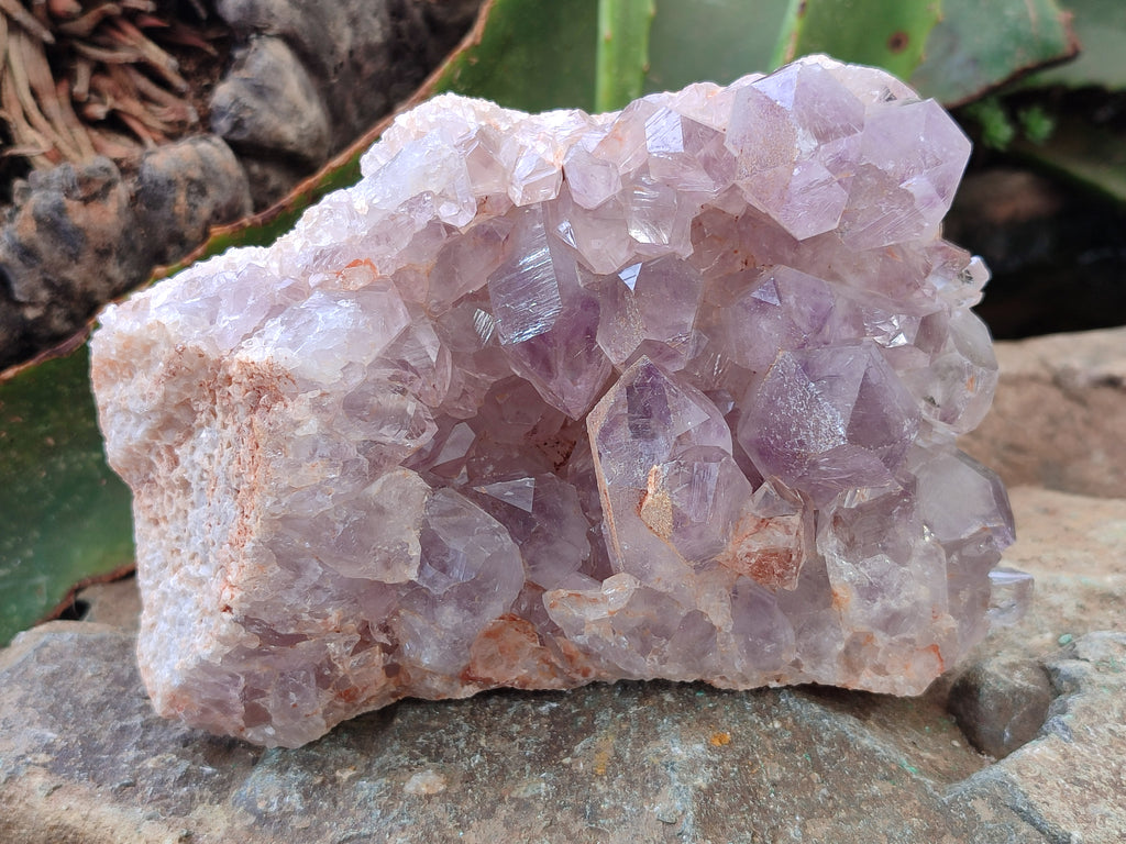 Natural Jacaranda Amethyst Quartz Cluster x 2 From Mumbwa, Zambia - Toprock Gemstones and Minerals 