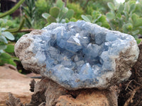Natural Celestite Geode Specimens x 1 From Sakoany, Madagascar