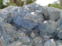 Natural Celestite Geode Specimens x 1 From Sakoany, Madagascar