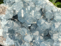 Natural Celestite Geode Specimens x 1 From Sakoany, Madagascar