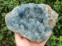 Natural Celestite Geode Specimens x 1 From Sakoany, Madagascar