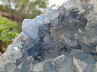 Natural Celestite Geode Specimens x 1 From Sakoany, Madagascar