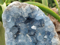Natural Celestite Geode Specimens x 1 From Sakoany, Madagascar