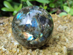 Polished Labradorite Spheres x 3 From Tulear, Madagascar - Toprock Gemstones and Minerals 