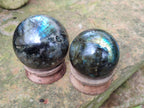 Polished Labradorite Spheres x 3 From Tulear, Madagascar - Toprock Gemstones and Minerals 