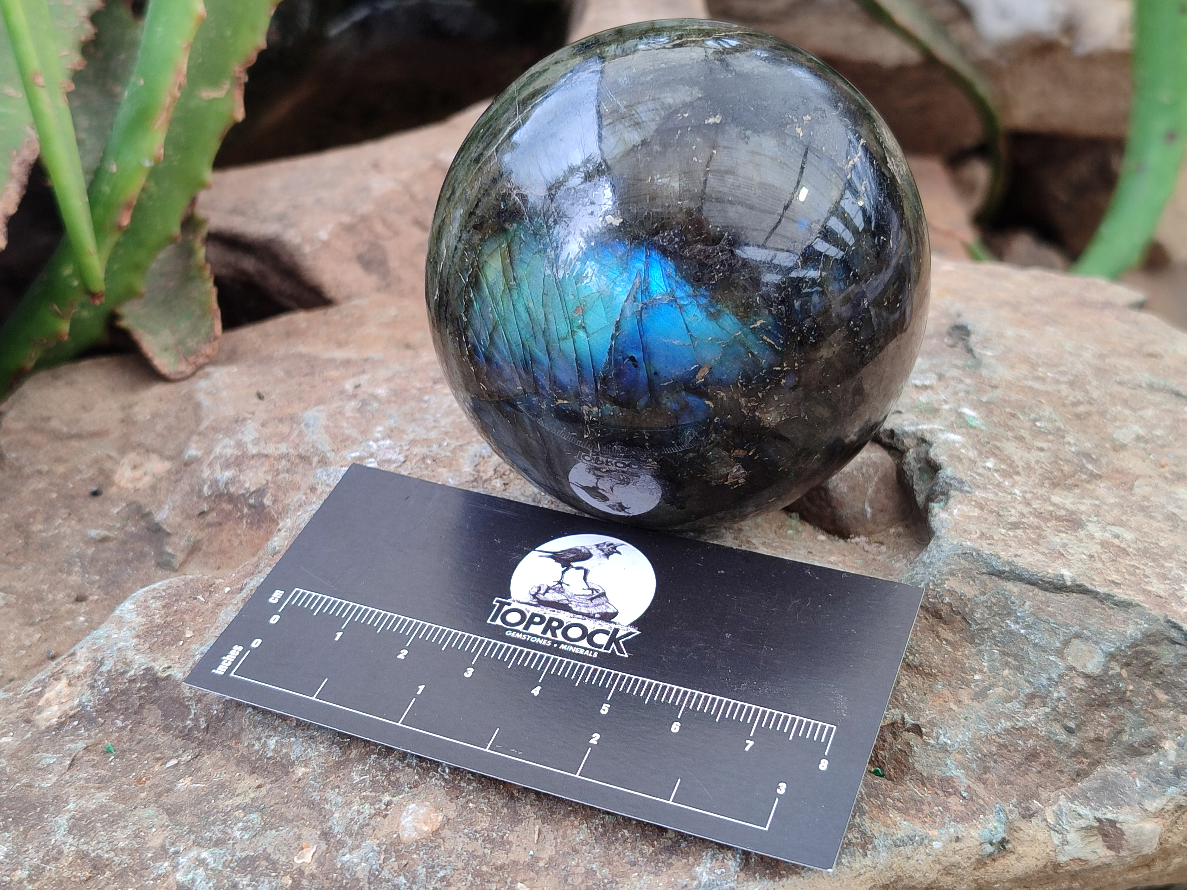 Polished Labradorite Spheres x 3 From Tulear, Madagascar - Toprock Gemstones and Minerals 