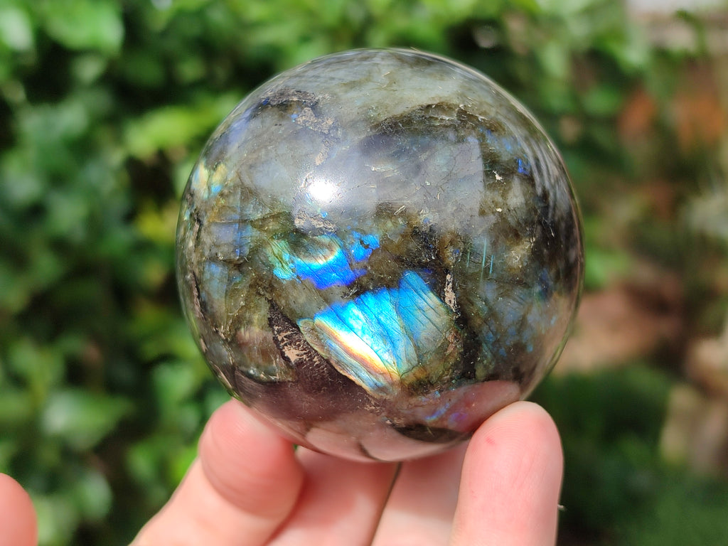 Polished Labradorite Spheres x 3 From Tulear, Madagascar - Toprock Gemstones and Minerals 