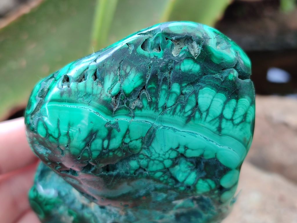 Polished Flower Banded Malachite Free Forms x 4 From Congo - Toprock Gemstones and Minerals 