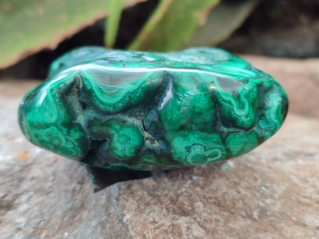Polished Flower Banded Malachite Free Forms x 4 From Congo - Toprock Gemstones and Minerals 