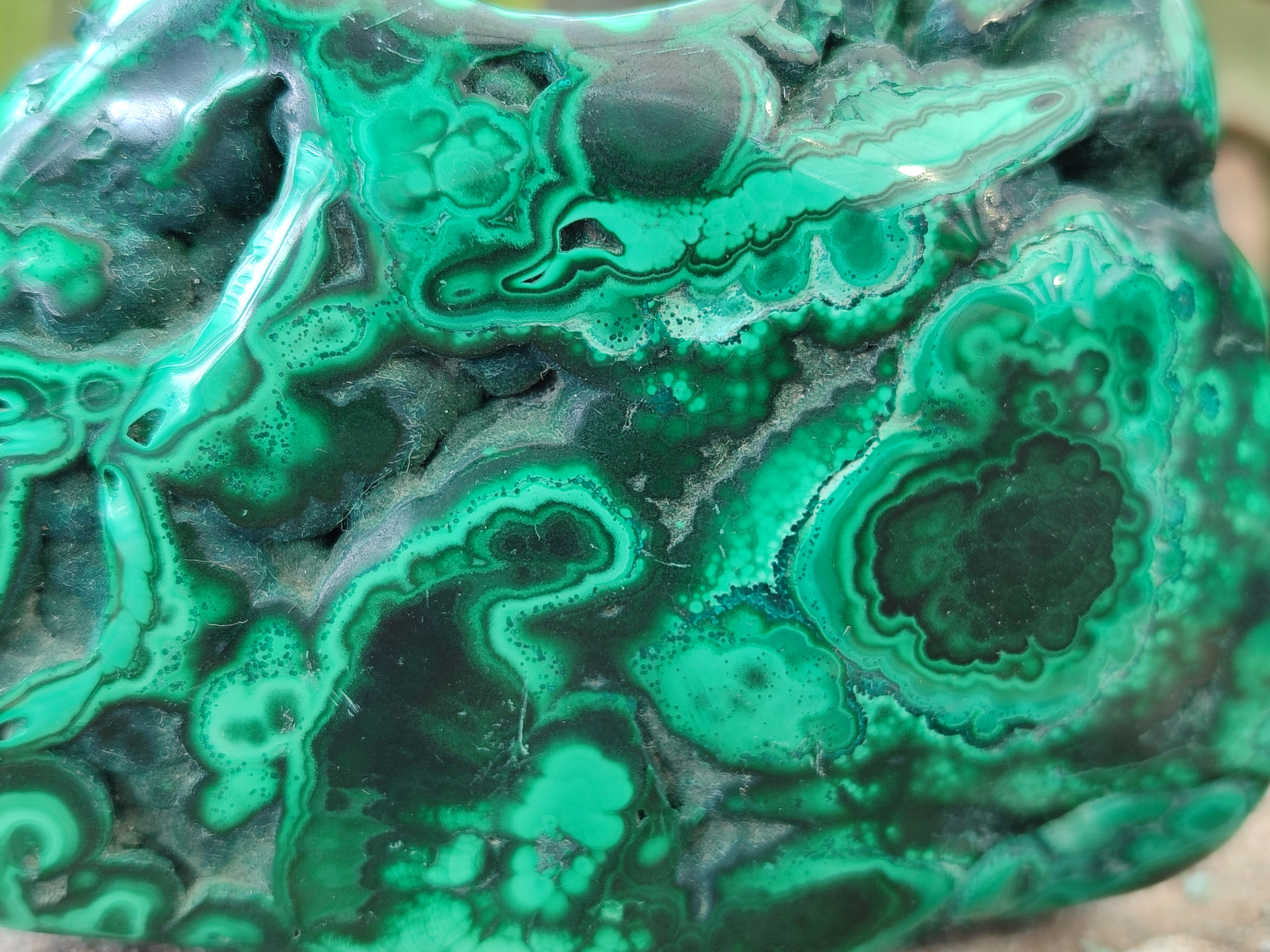 Polished Flower Banded Malachite Free Forms x 4 From Congo - Toprock Gemstones and Minerals 