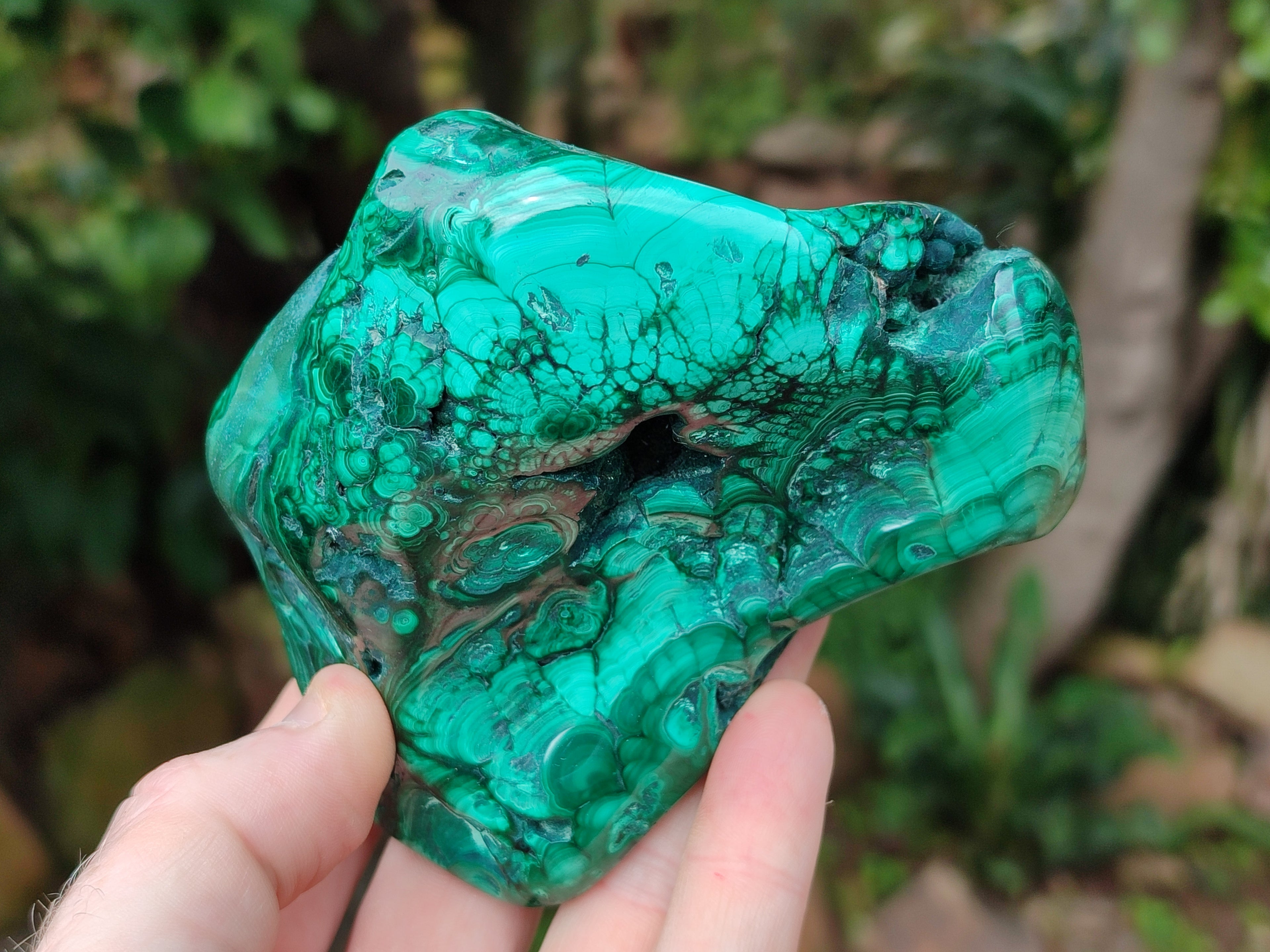 Polished Flower Banded Malachite Free Forms x 4 From Congo - Toprock Gemstones and Minerals 