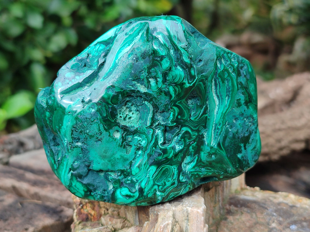 Polished Flower Banded Malachite Free Forms x 4 From Congo - Toprock Gemstones and Minerals 