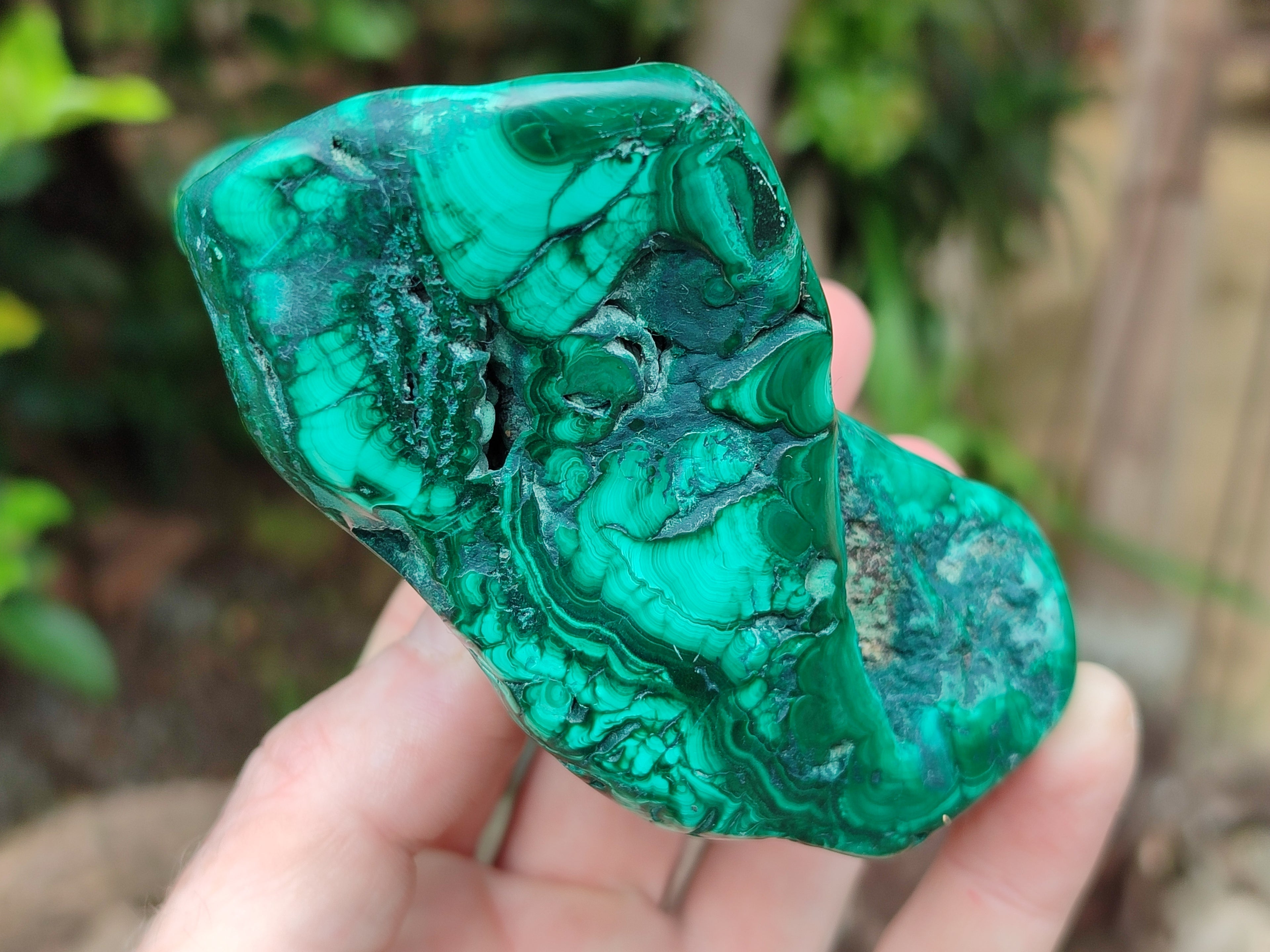 Polished Flower Banded Malachite Free Forms x 4 From Congo - Toprock Gemstones and Minerals 