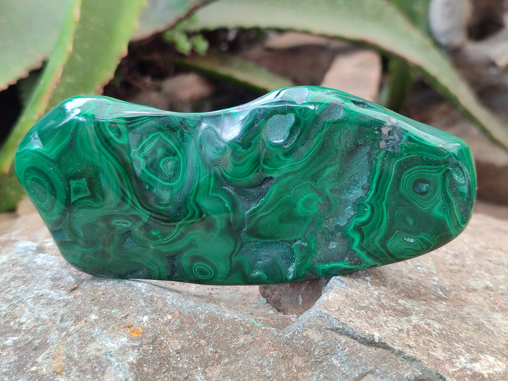 Polished Flower Banded Malachite Free Forms x 4 From Congo - Toprock Gemstones and Minerals 