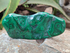 Polished Flower Banded Malachite Free Forms x 4 From Congo - Toprock Gemstones and Minerals 