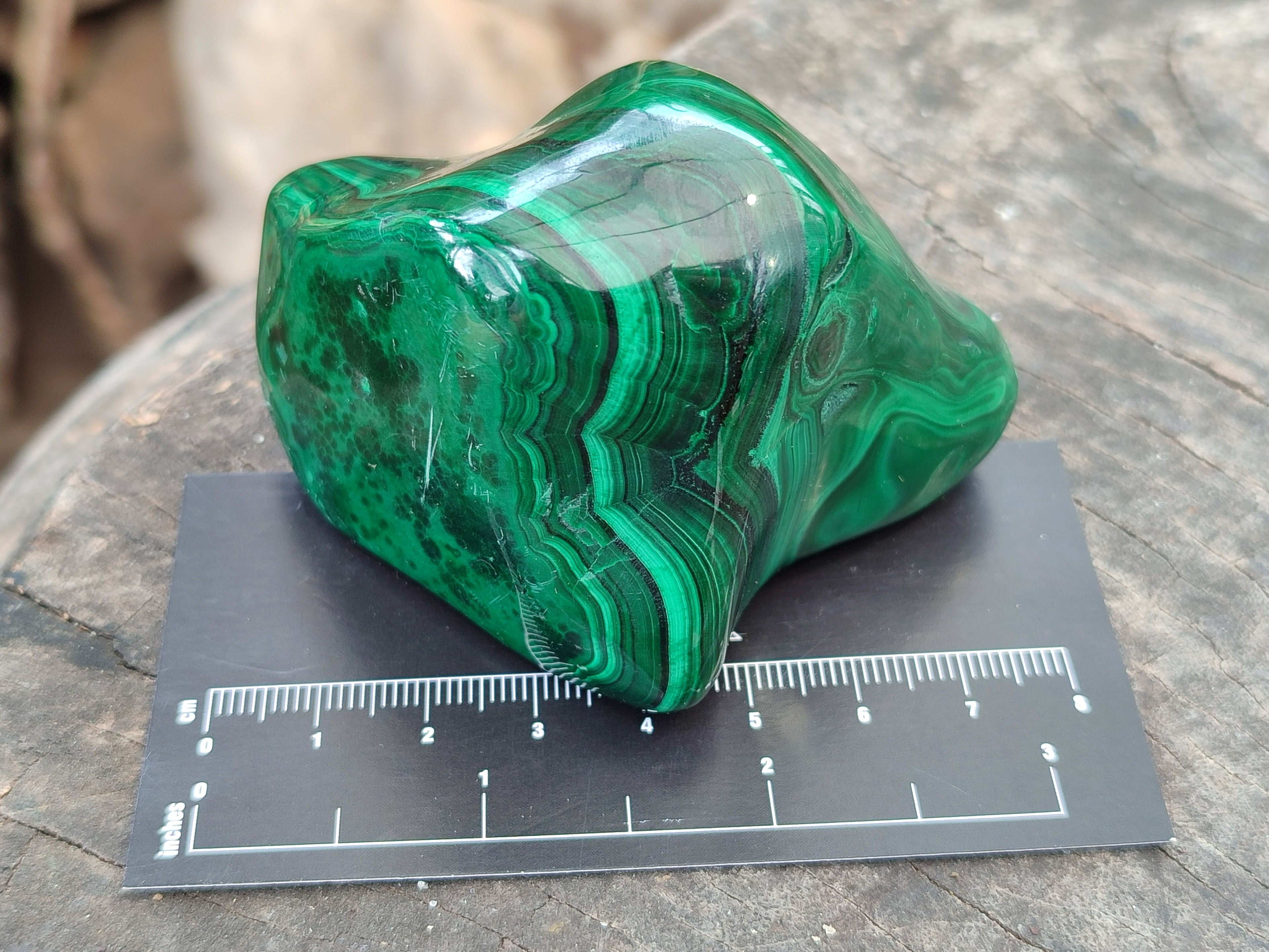 Polished Flower Banded Malachite Free Forms x 4 From Congo - Toprock Gemstones and Minerals 